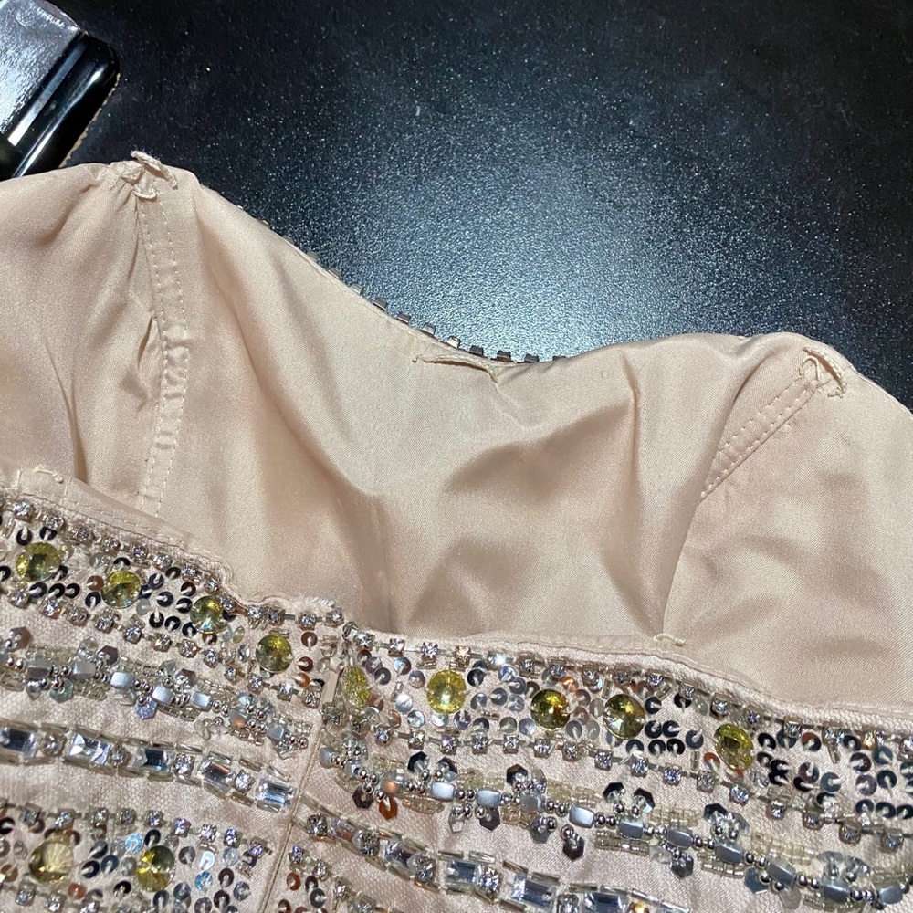 Terani Mini Dress - Picture 6 of 8